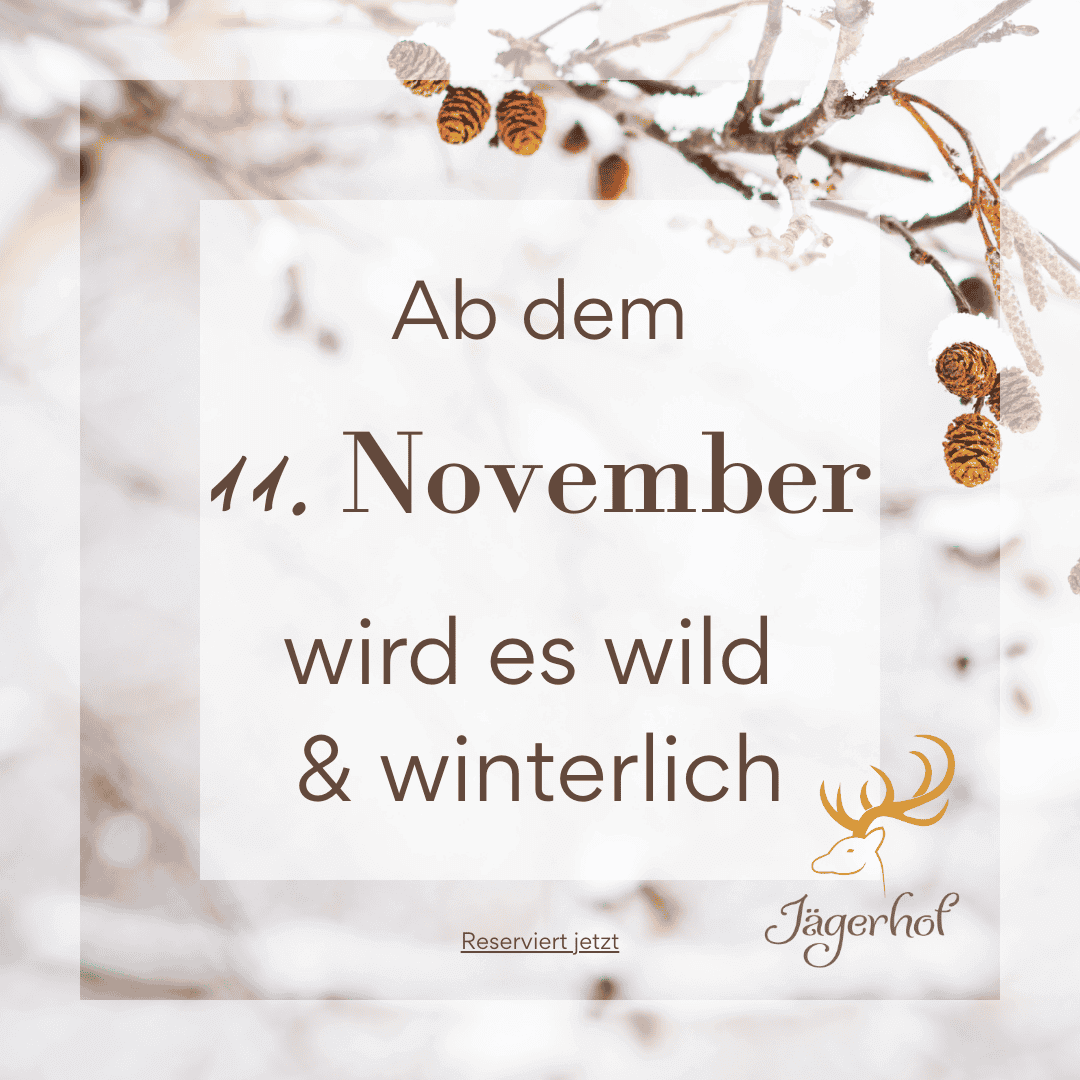 Es wird wild und winterlich 1